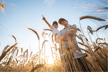 Por qué invertir en obligaciones.